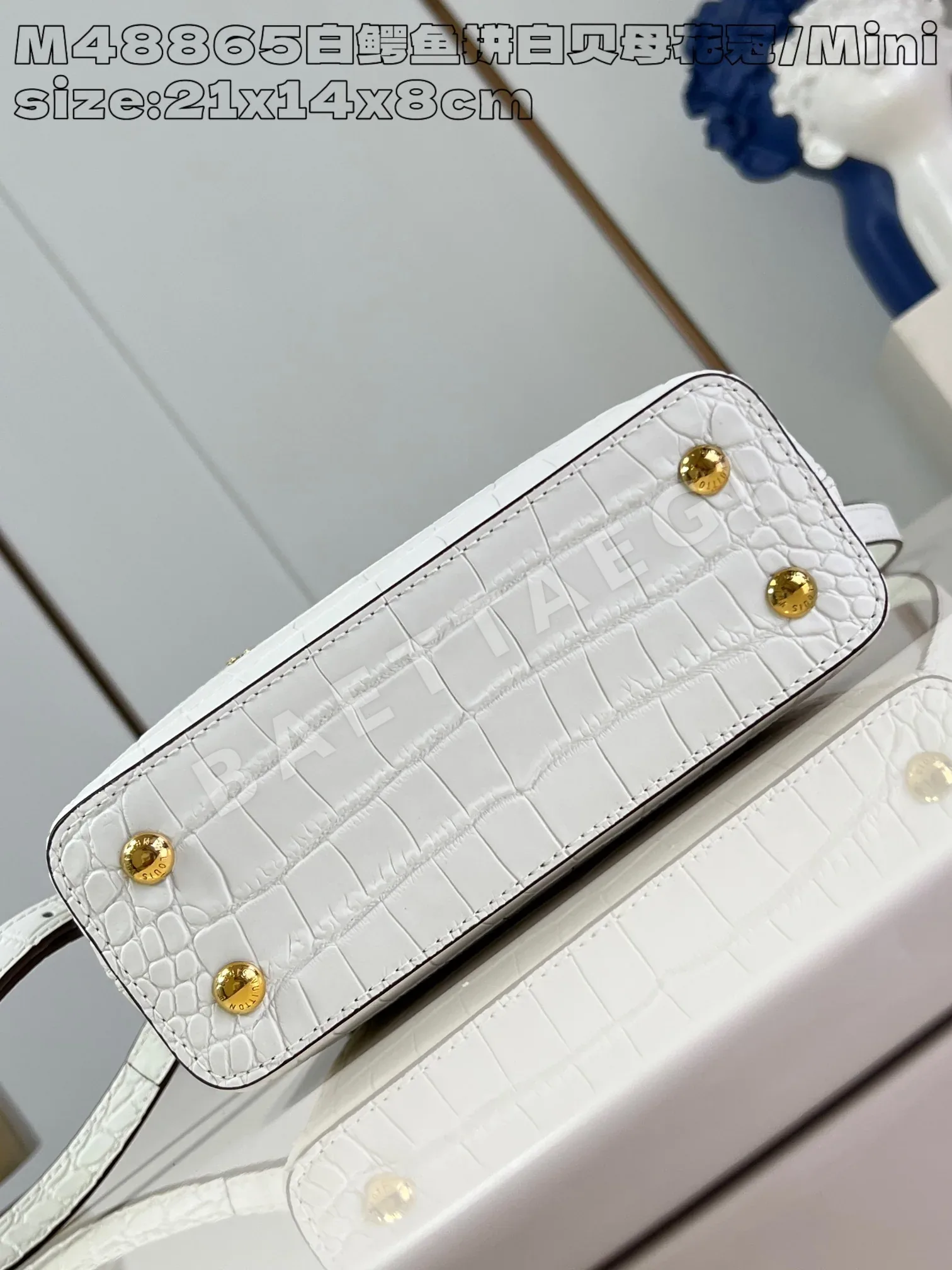 루이비통 M48865 화이트 카푸신 핸드백 미니 상세 이미지 5