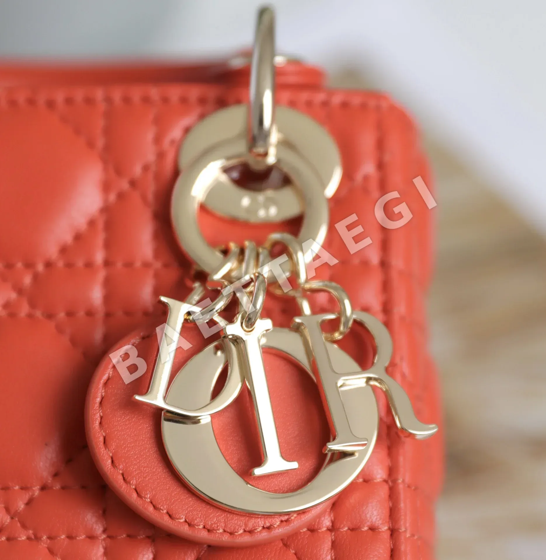 디올 165272 가방 Dior Bag 상세 이미지 7