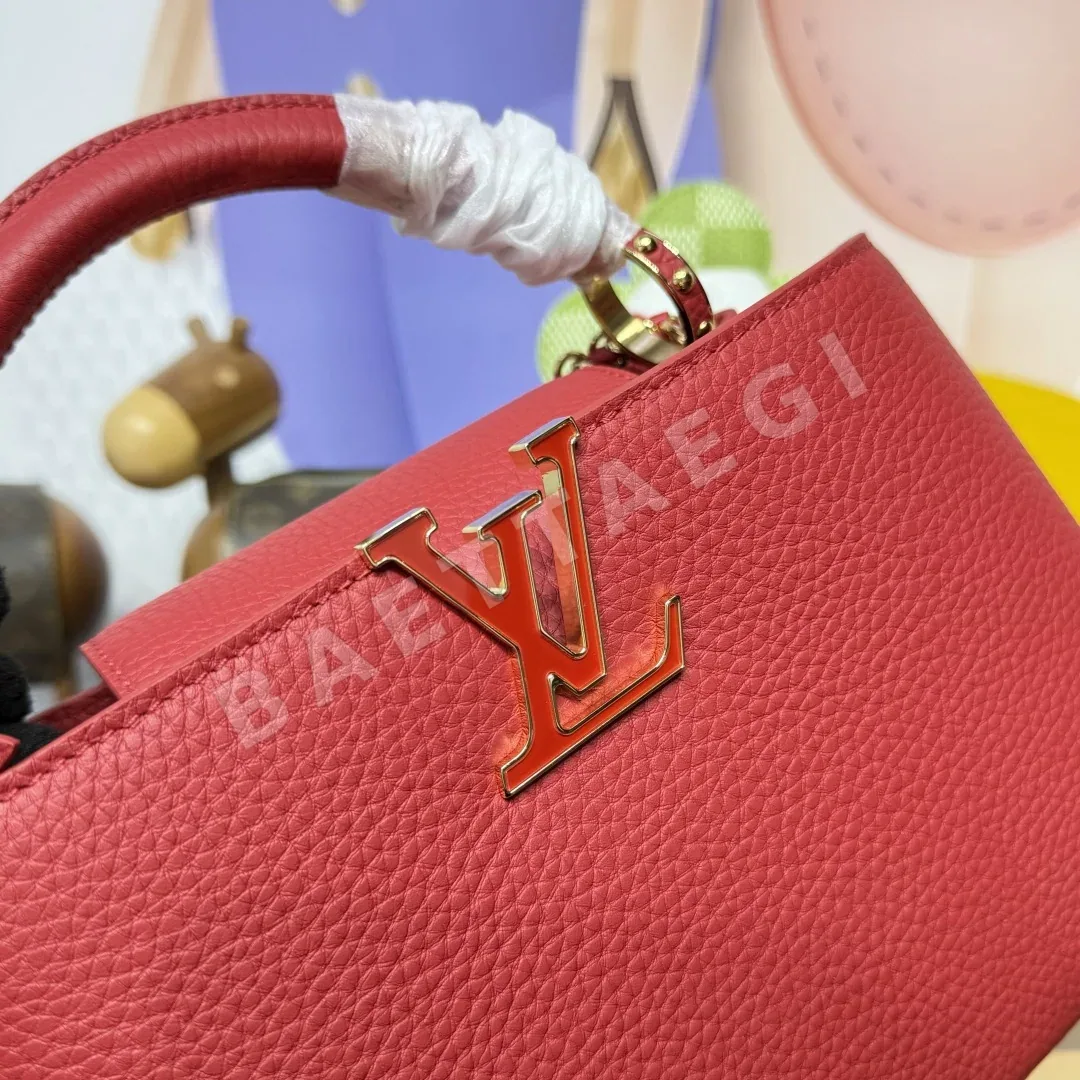 루이비통 버드케이지 카프시뉴 스몰 핸드백 M27300 상세 이미지 5