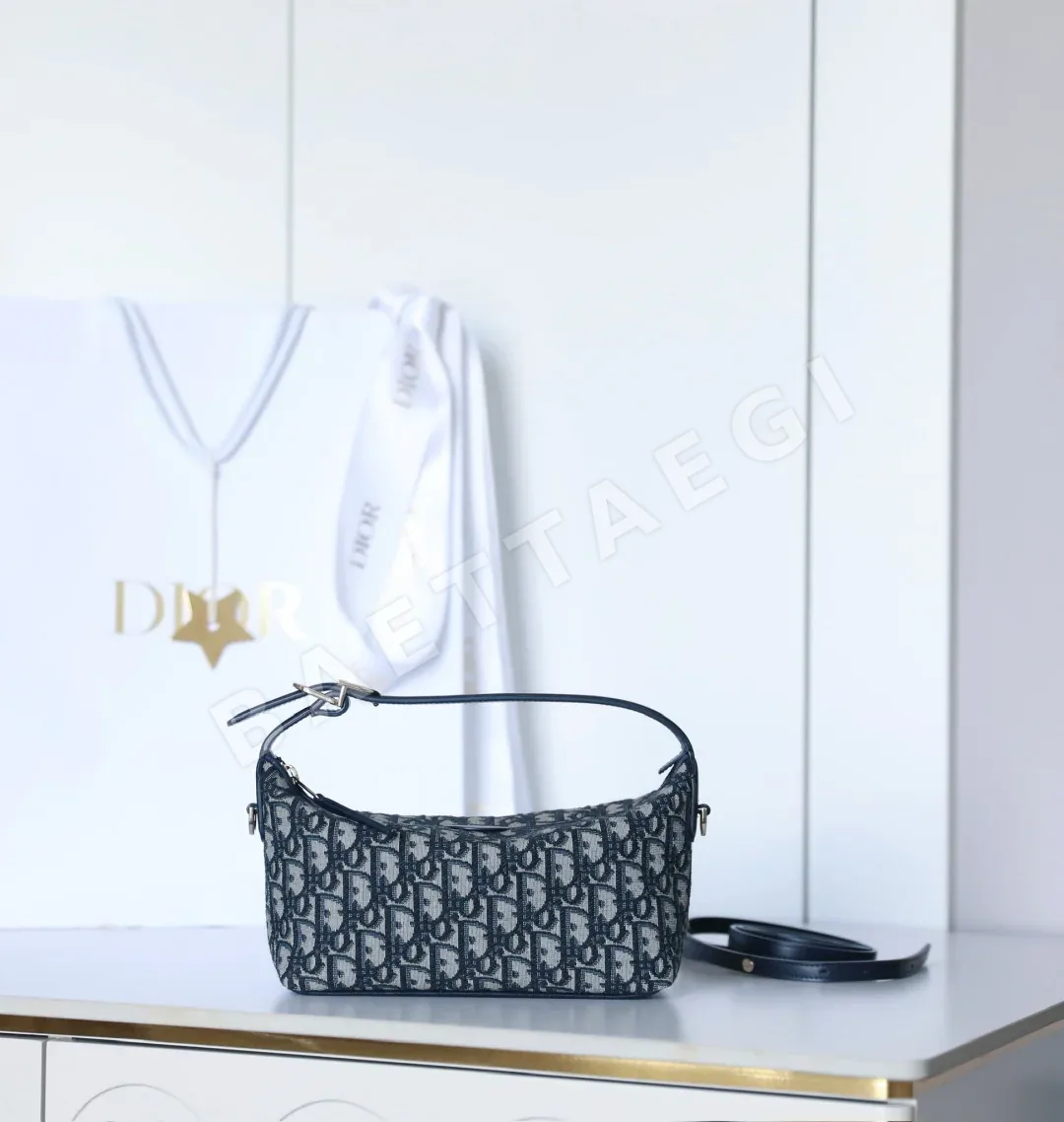 디올 165254 가방 Dior Bag