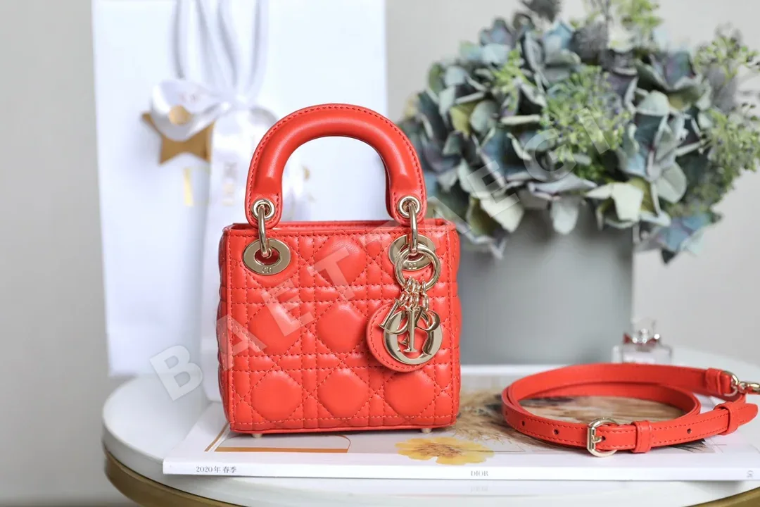 디올 165272 가방 Dior Bag