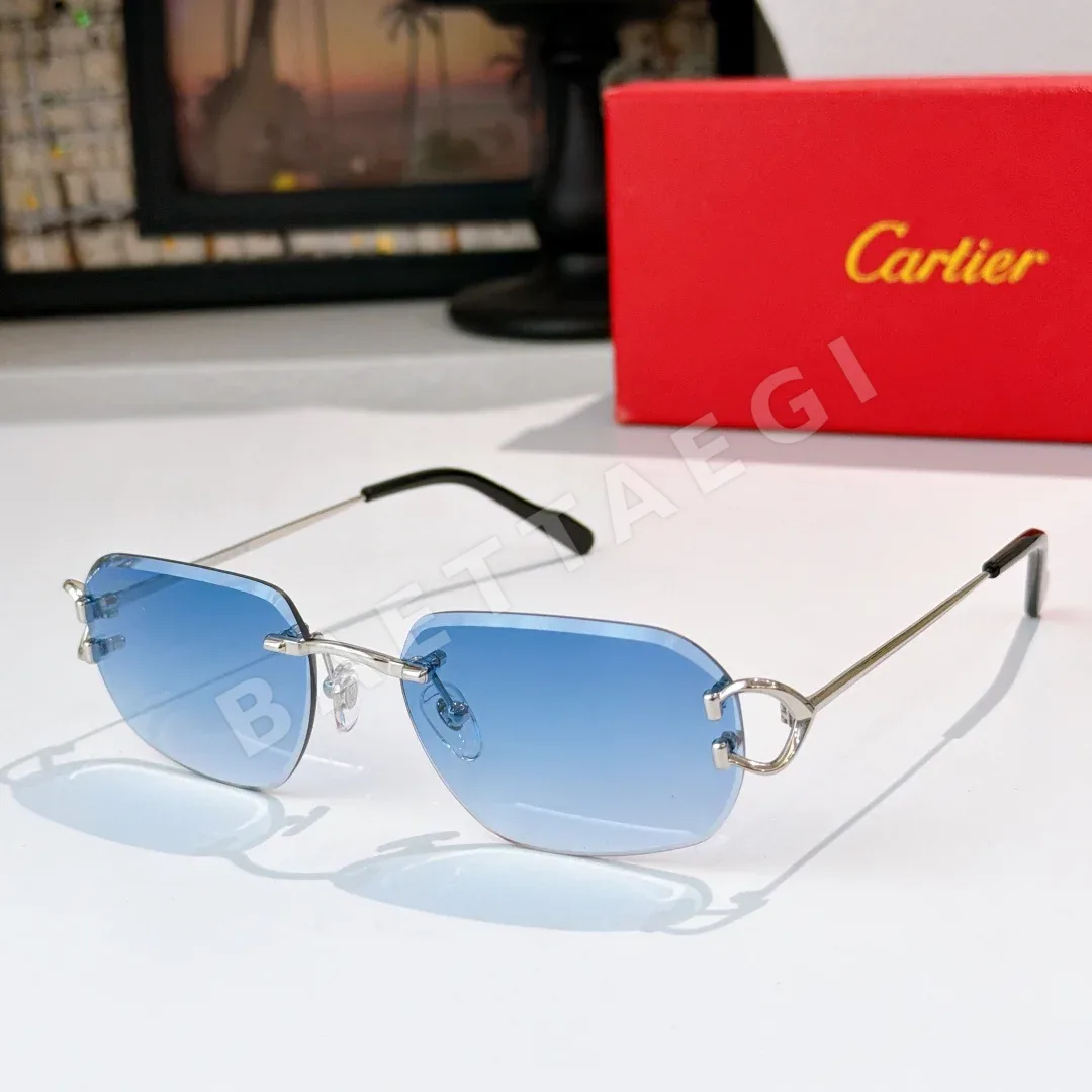 까르띠에 선글라스 72160 Cartier Sunglasses 상세 이미지 2