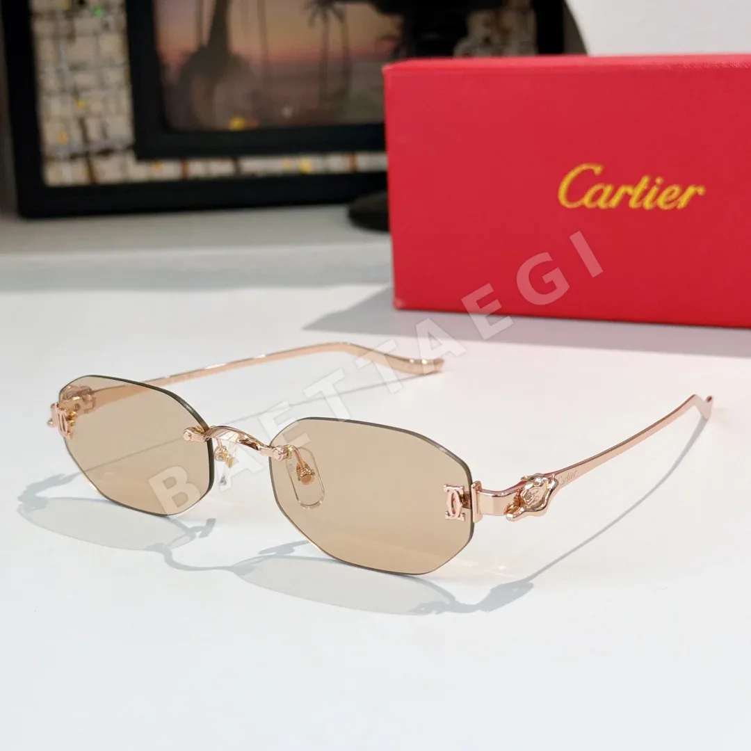 까르띠에 선글라스 72165 Cartier Sunglasses 상세 이미지 5