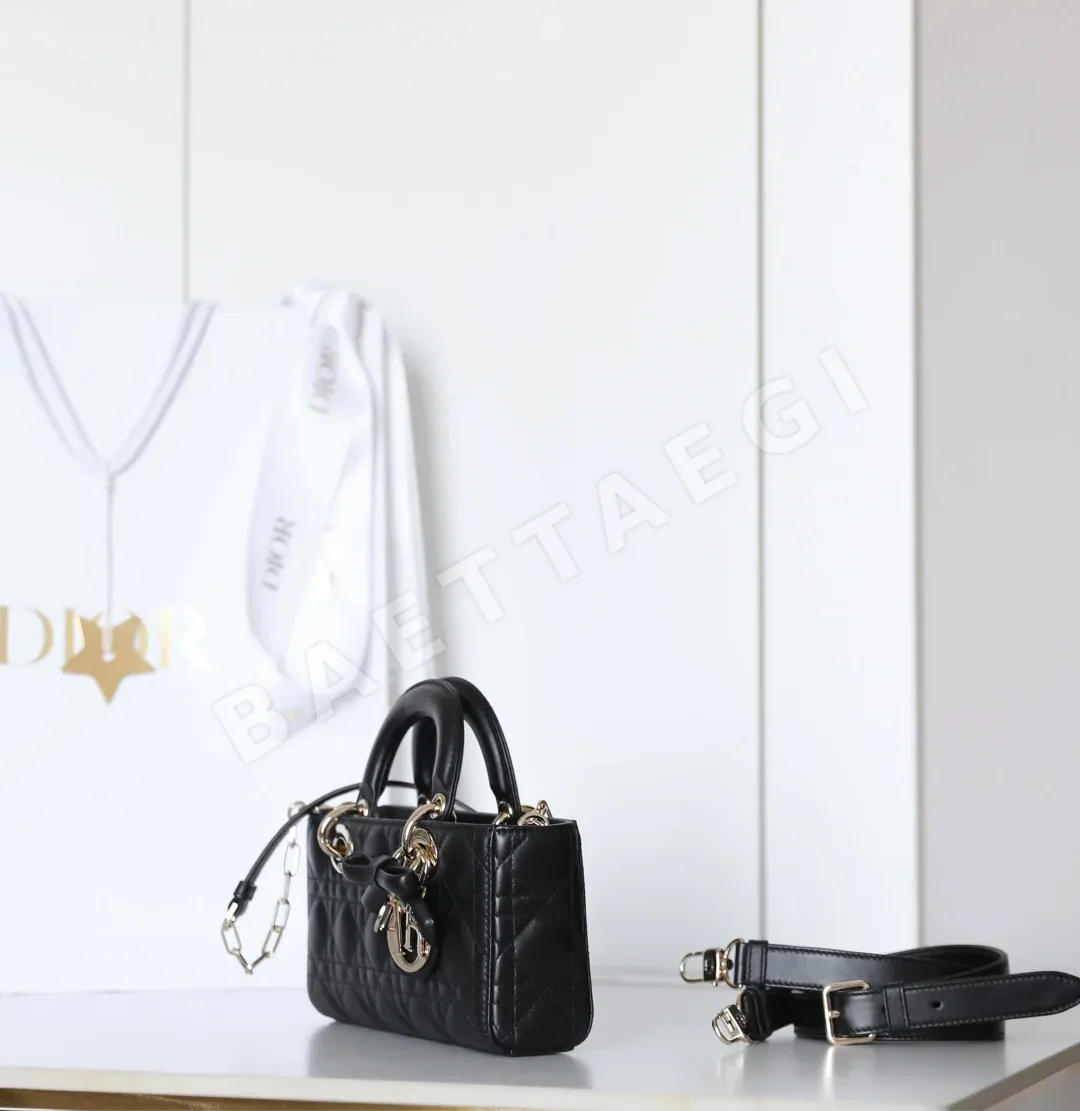 디올 165253 가방 Dior Bag 상세 이미지 5