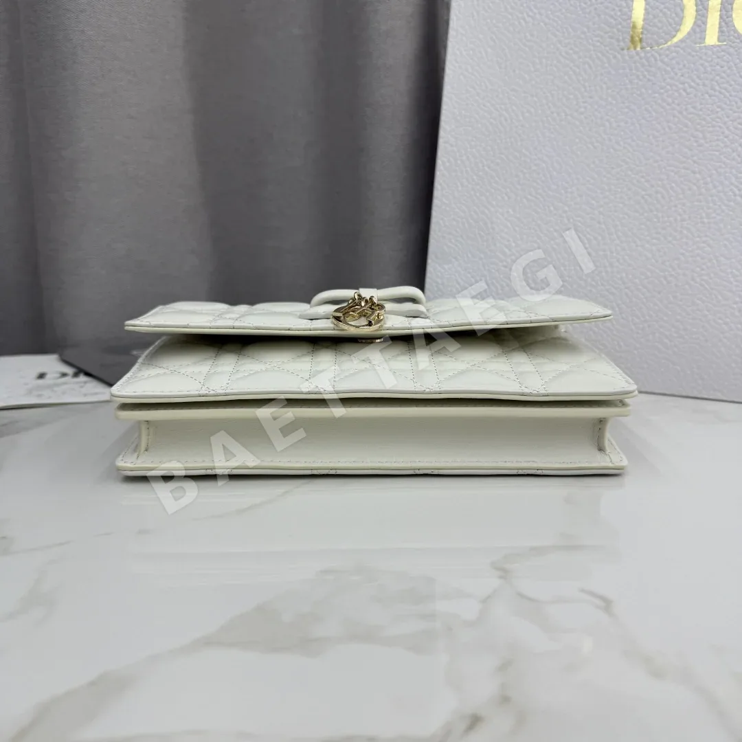 디올 마이 워크 미니 체인 가방 상세 이미지 6