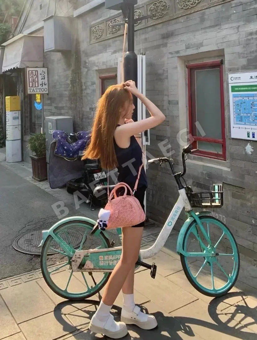 고야드 빈티지 스몰 볼링백 77595