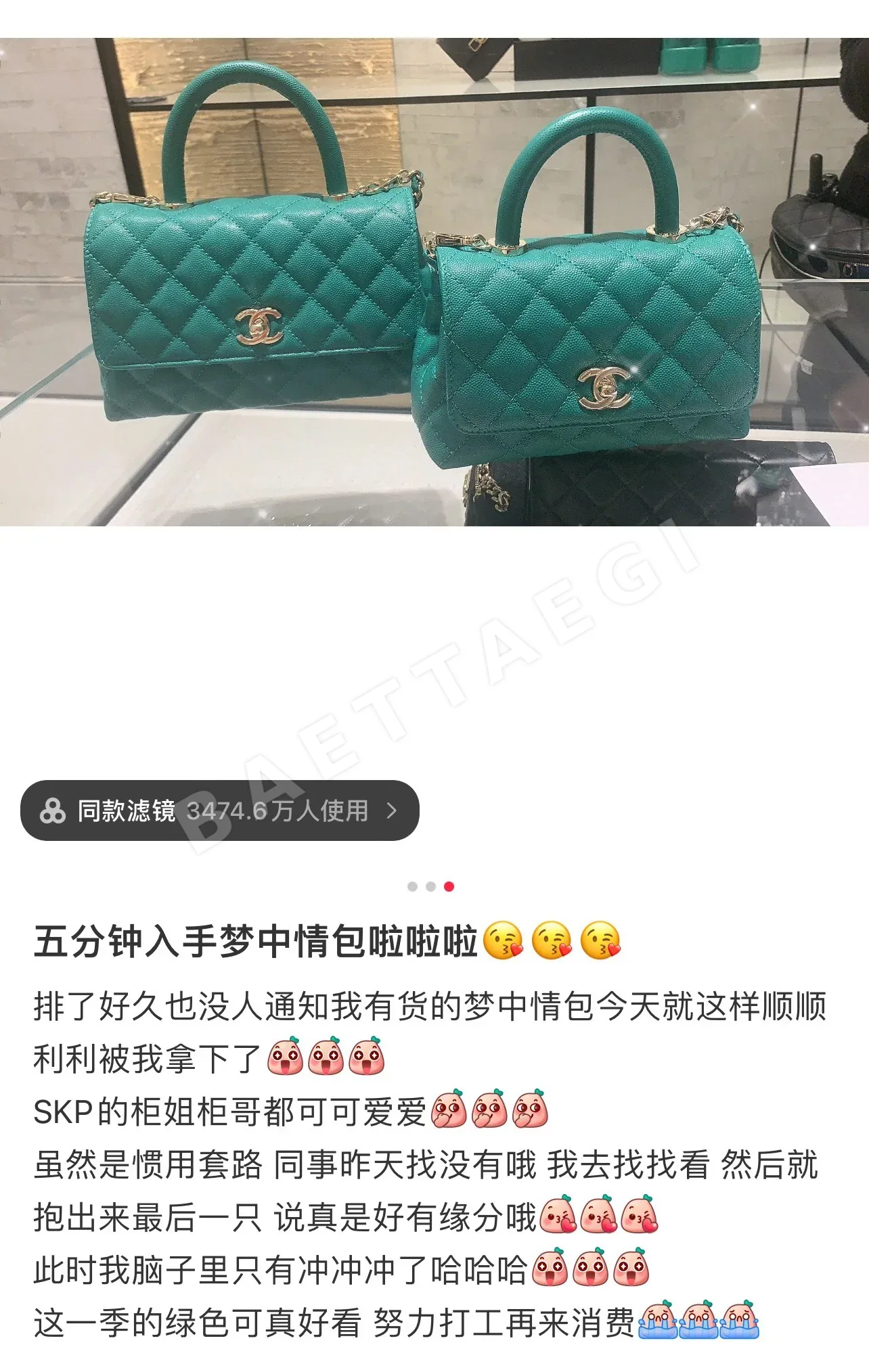 샤넬 코코 핸들 미니 그린 가방 상세 이미지 8