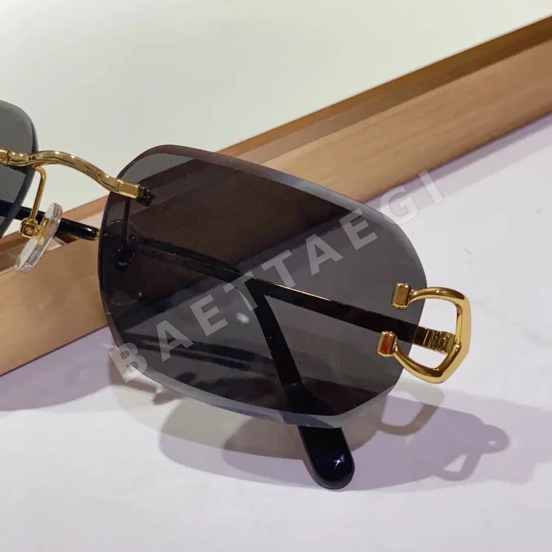 까르띠에 선글라스 72386 Cartier Sunglasses 상세 이미지 6
