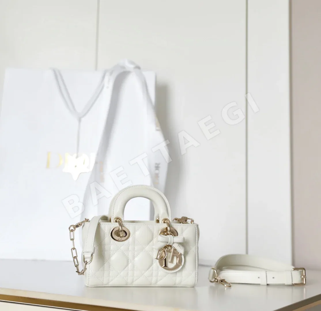 디올 165260 가방 Dior Bag