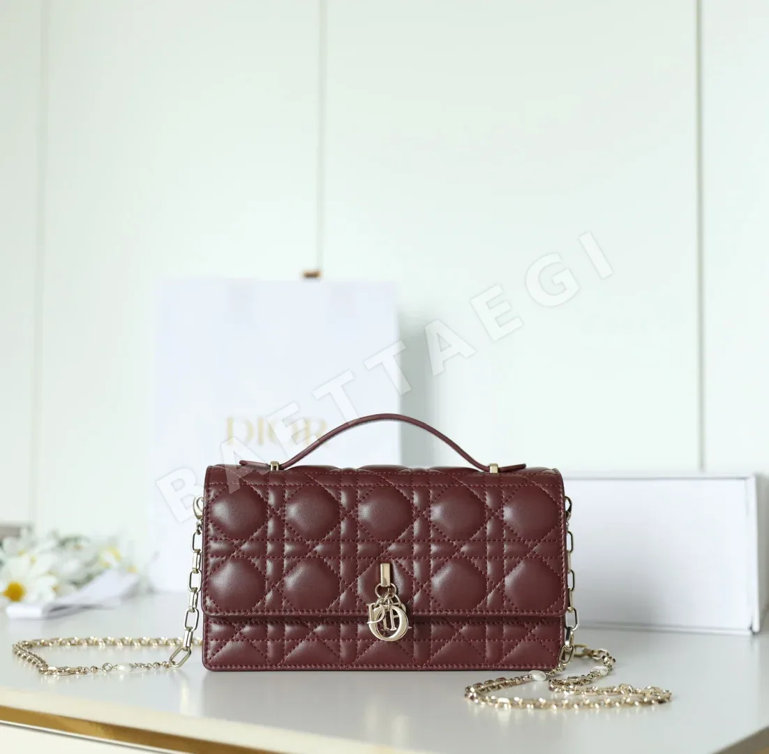 디올 165341 가방 Dior Bag