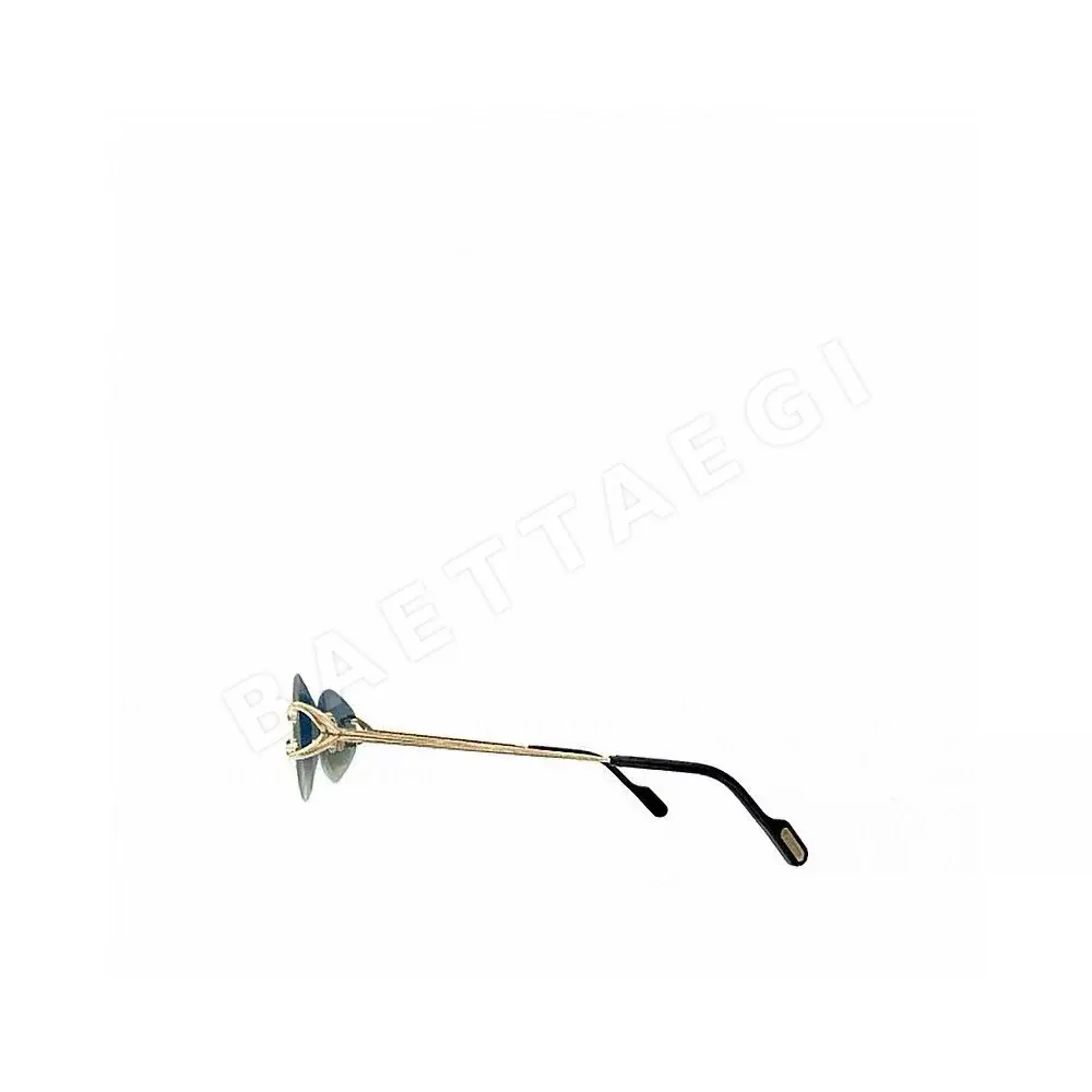 까르띠에 CT0467 S 선글라스 상세 이미지 2