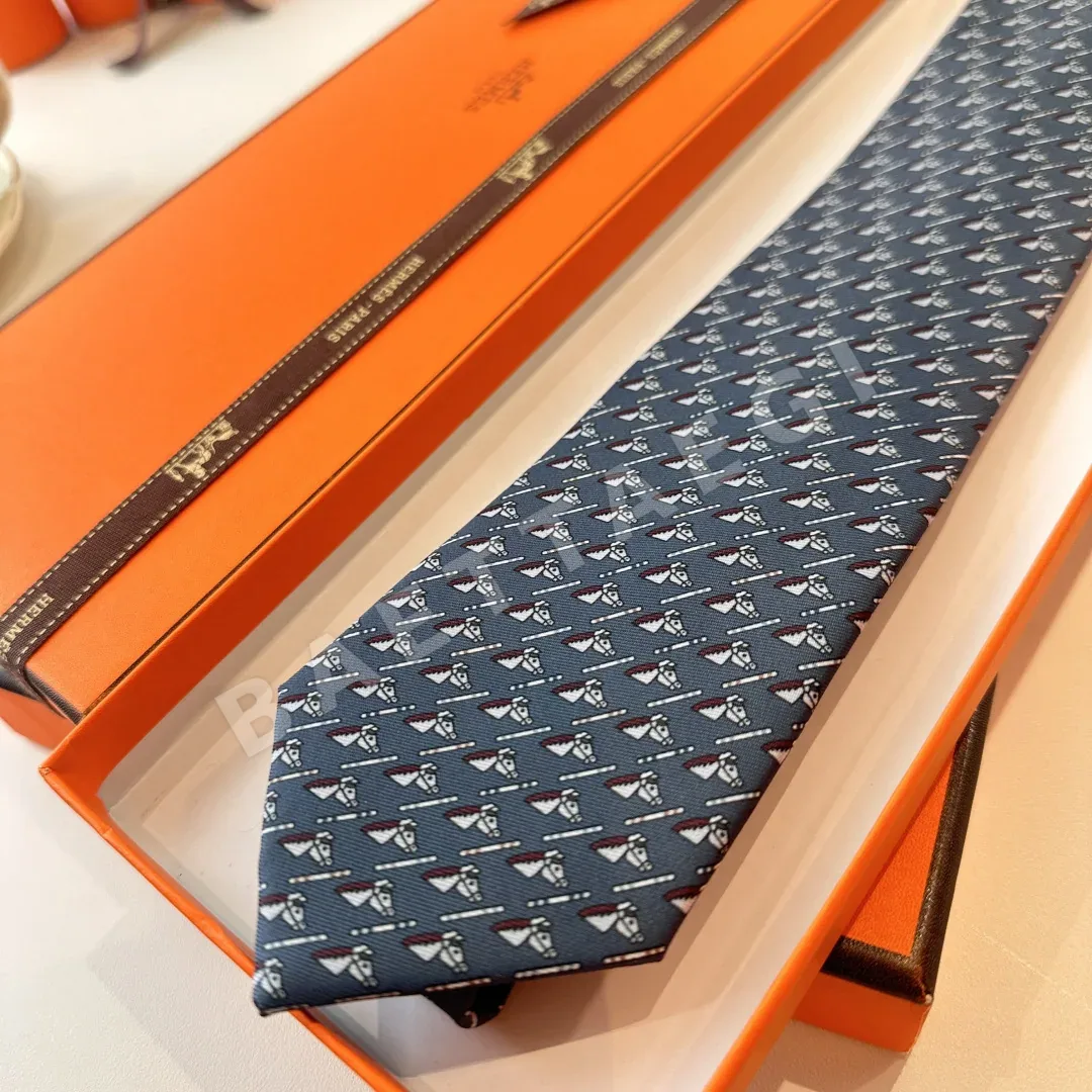 에르메스 프린트 실크 넥타이 상세 이미지 3
