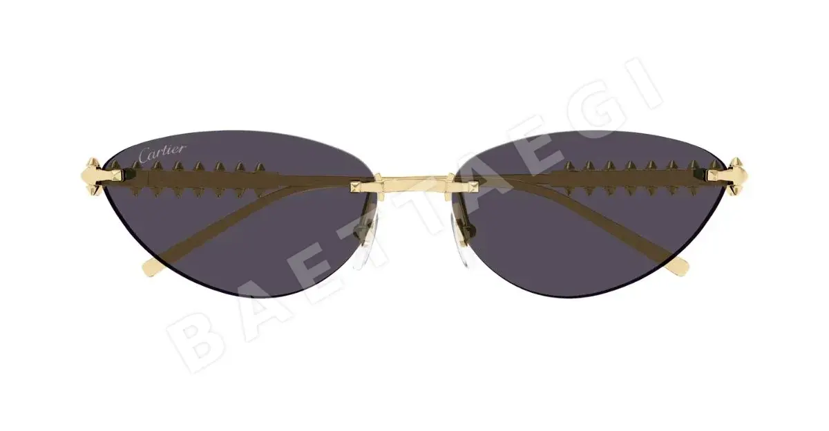 까르띠에 선글라스 72345 Cartier Sunglasses 상세 이미지 3