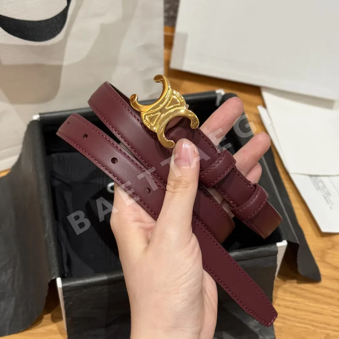 셀린느 개선문 여성 소가죽 골드 장식 벨트 상세 이미지 2