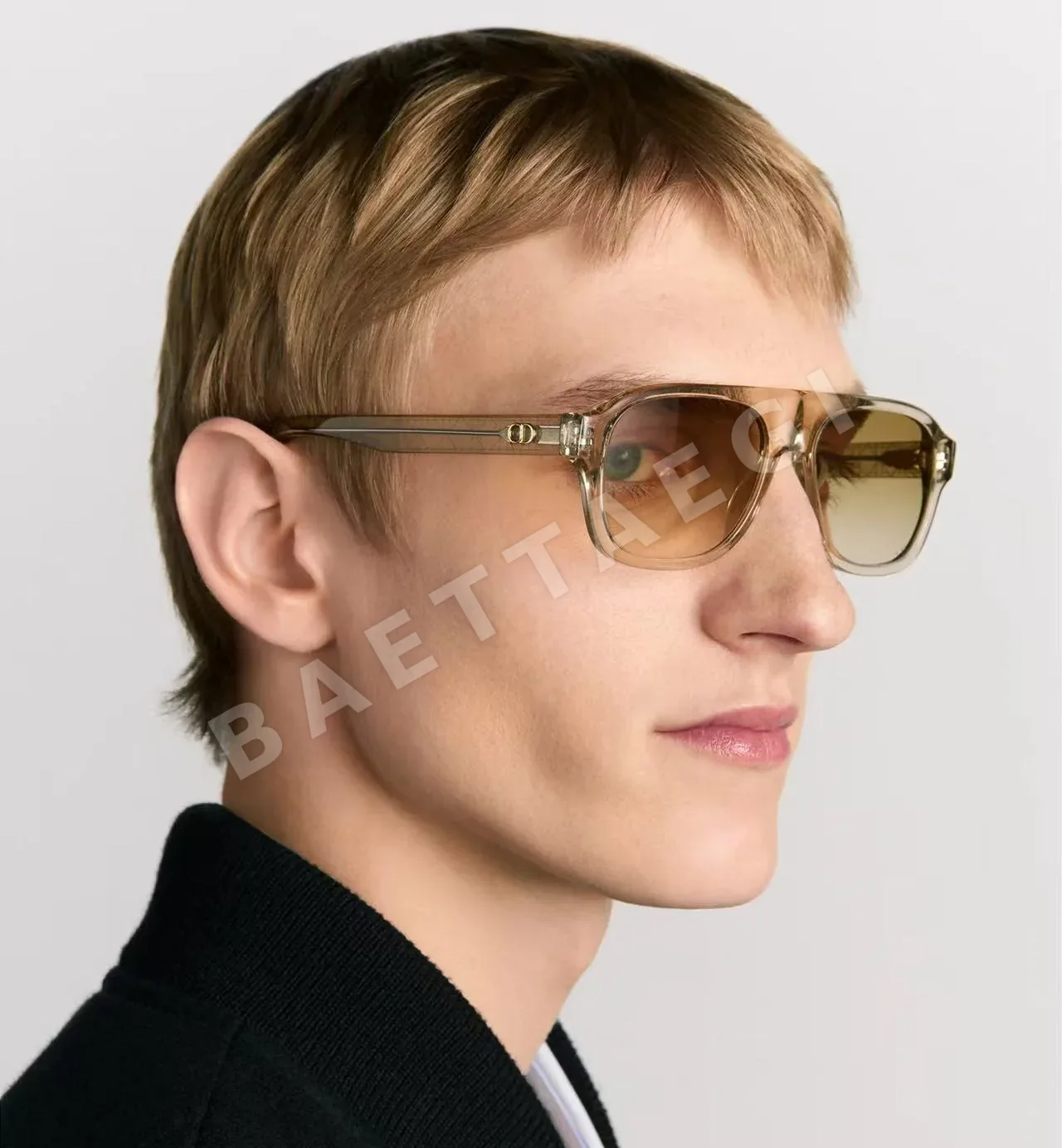 디올 선글라스 72649 Dior Sunglasses 상세 이미지 5