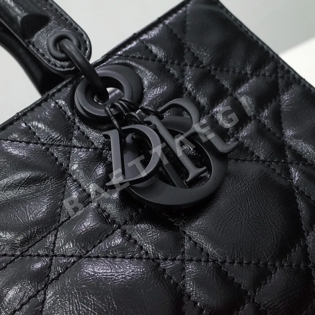 디올 레이디 디-사이어 플리츠 송아지가죽 핸드백 상세 이미지 6