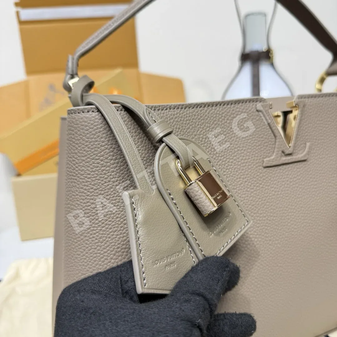 루이비통 버드케이지 가방 M26259 상세 이미지 6