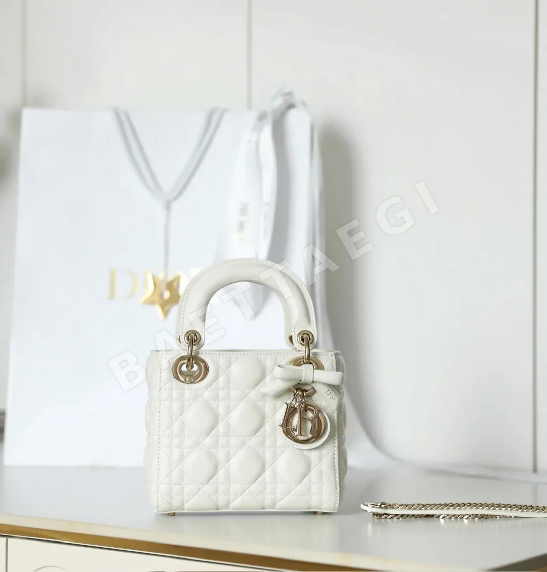 디올 165256 가방 Dior Bag 상세 이미지 2
