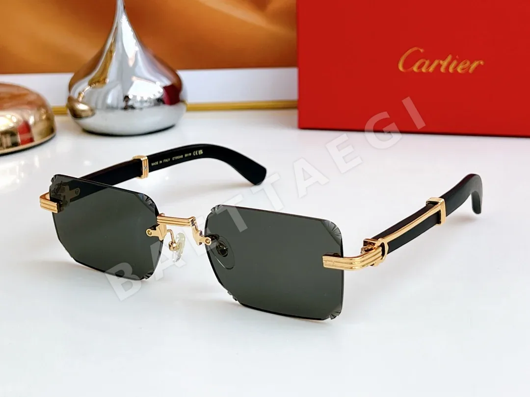 까르띠에 선글라스 72373 Cartier Sunglasses 상세 이미지 2