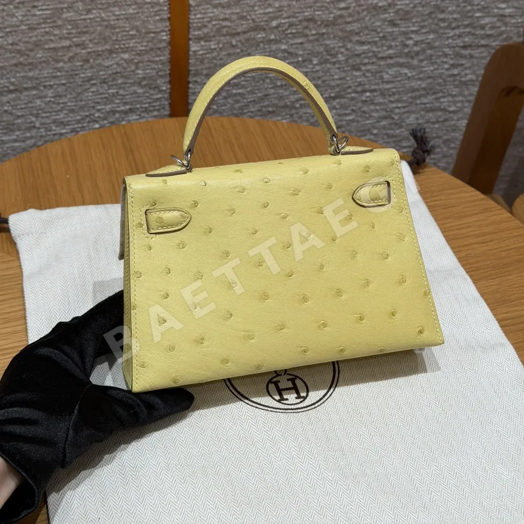 에르메스 미니 켈리 2 타조 가죽 가방 상세 이미지 2