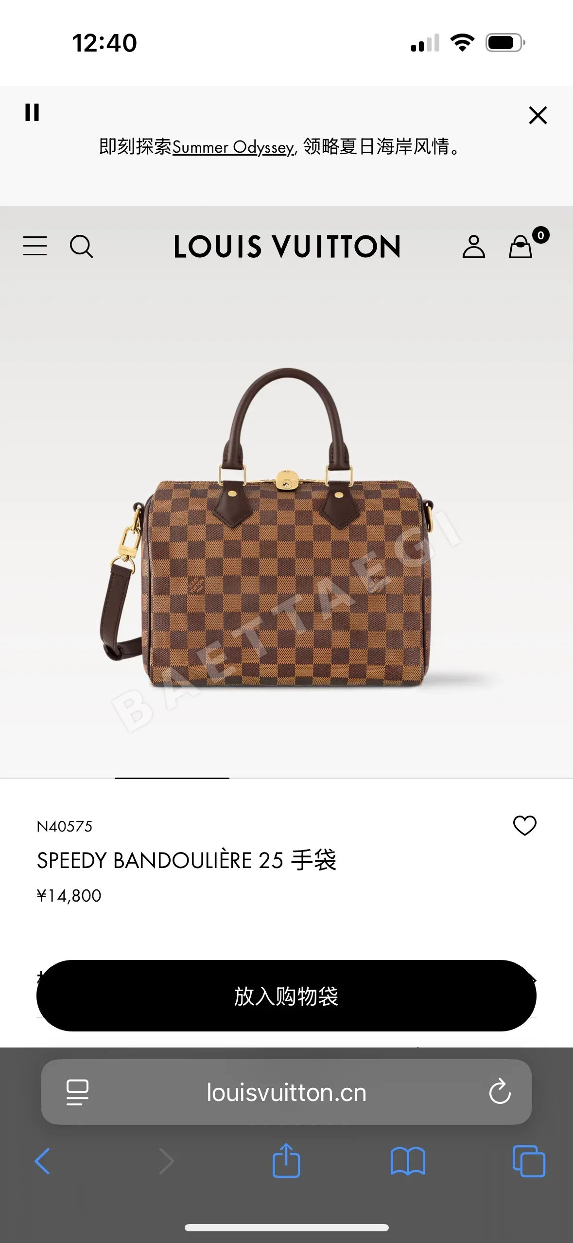 루이비통 다미에 그래파이트 캔버스 가방 N40575