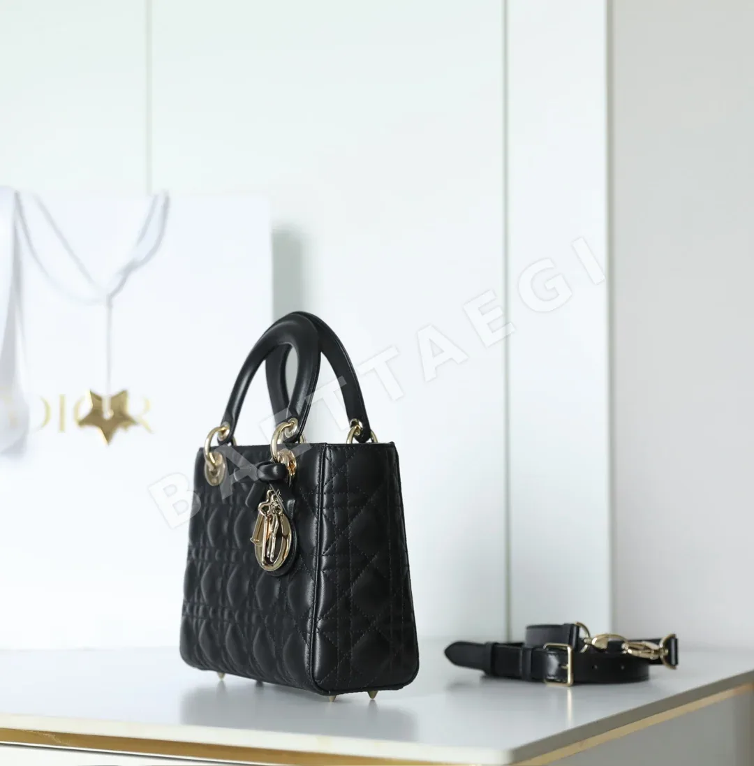 디올 165246 가방 Dior Bag 상세 이미지 5