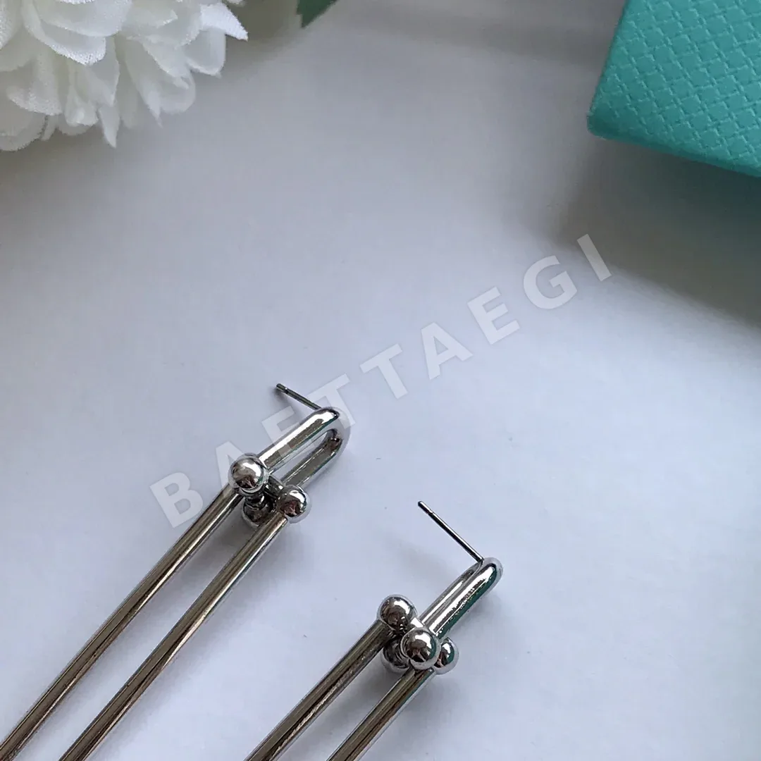 티파니 더블 체인 후프 귀걸이 상세 이미지 5