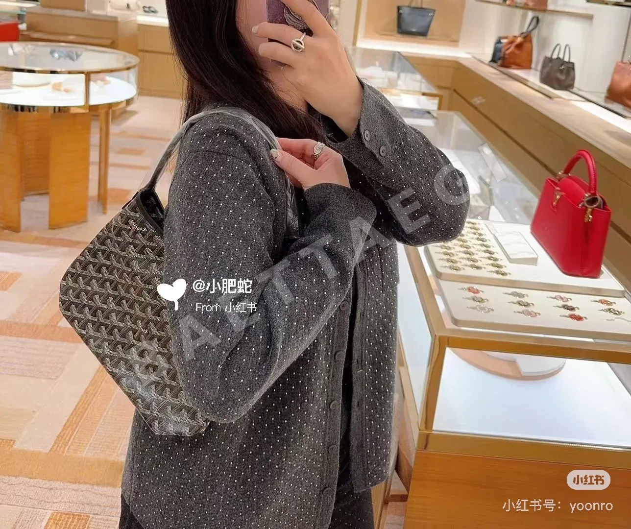 고야드 미니 호보 가방 상세 이미지 4