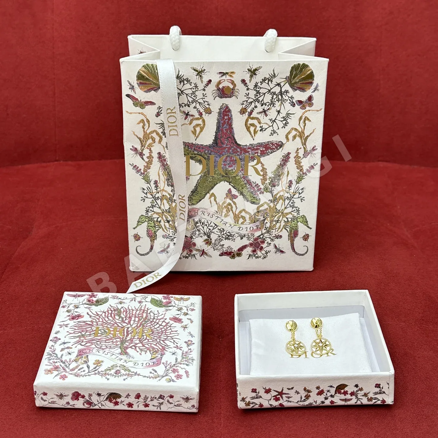 디올 로즈 데 뱅 콤파스 옥타곤 스타 귀걸이 상세 이미지 9