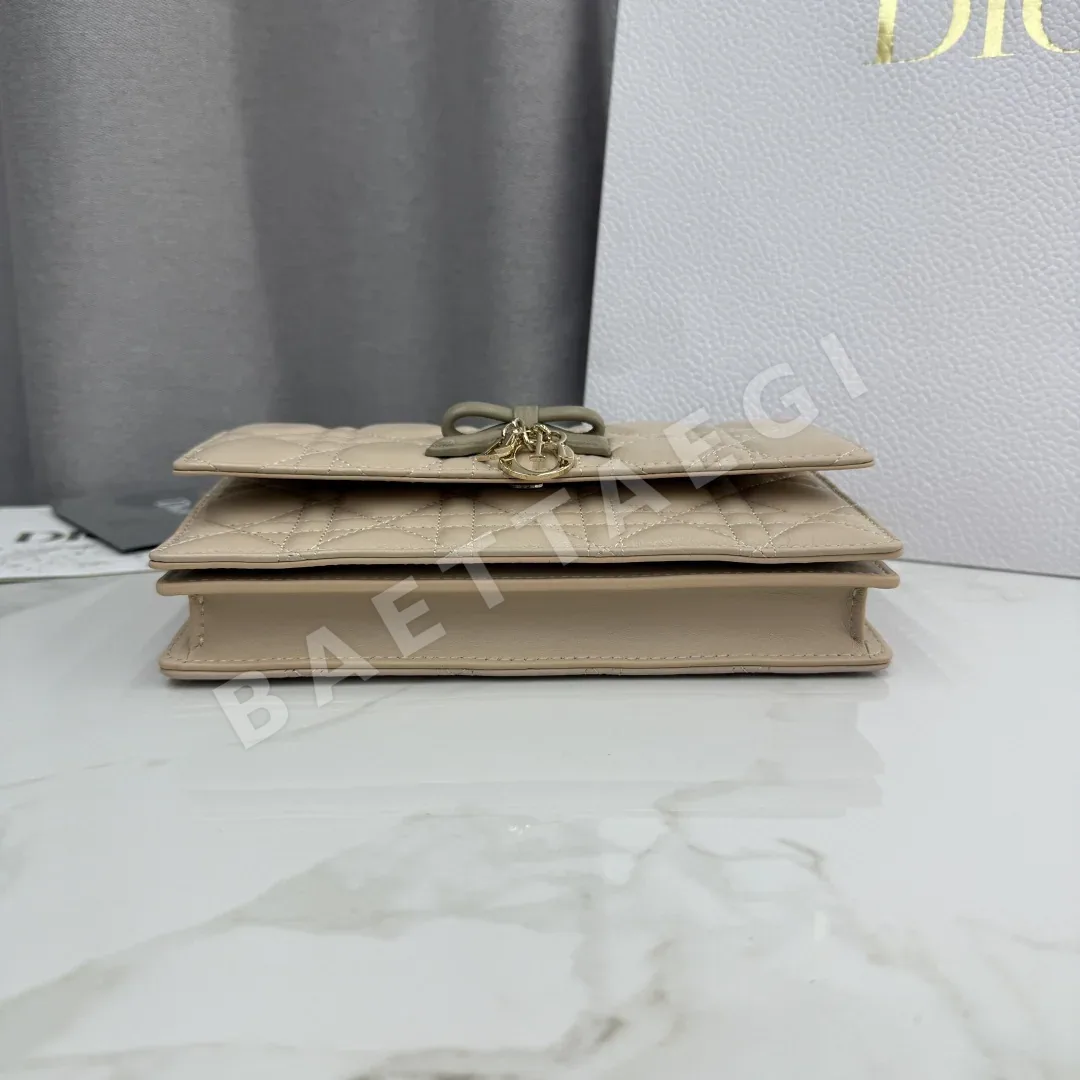 디올 마이 워크 미니 체인 가방 상세 이미지 6