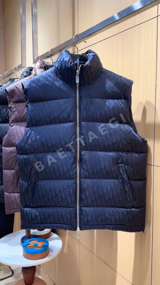 디올 오블리크 모노그램 나일론 다운 베스트 상세 이미지 19