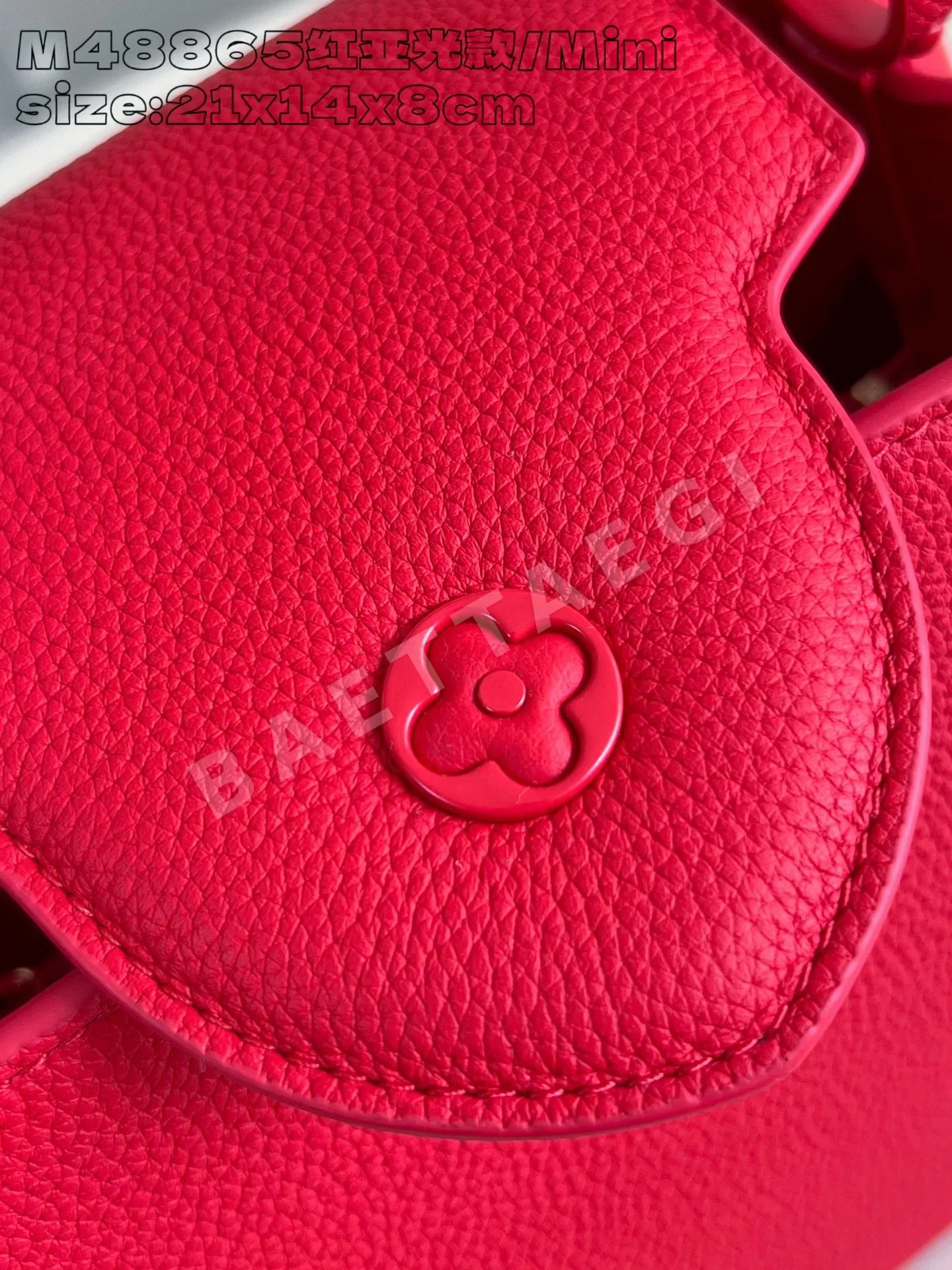 루이비통 카푸신 BB 매트 레드 가방 M48865 상세 이미지 7