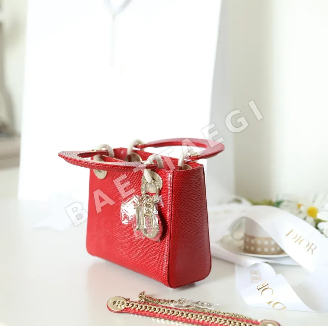 디올 165317 가방 Dior Bag 상세 이미지 6