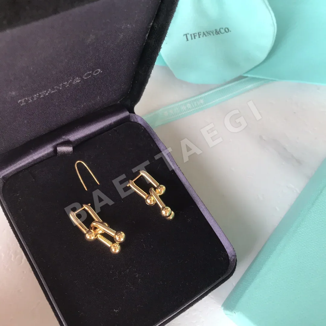 티파니 귀걸이 70825 Tiffany & Co Earrings 상세 이미지 3