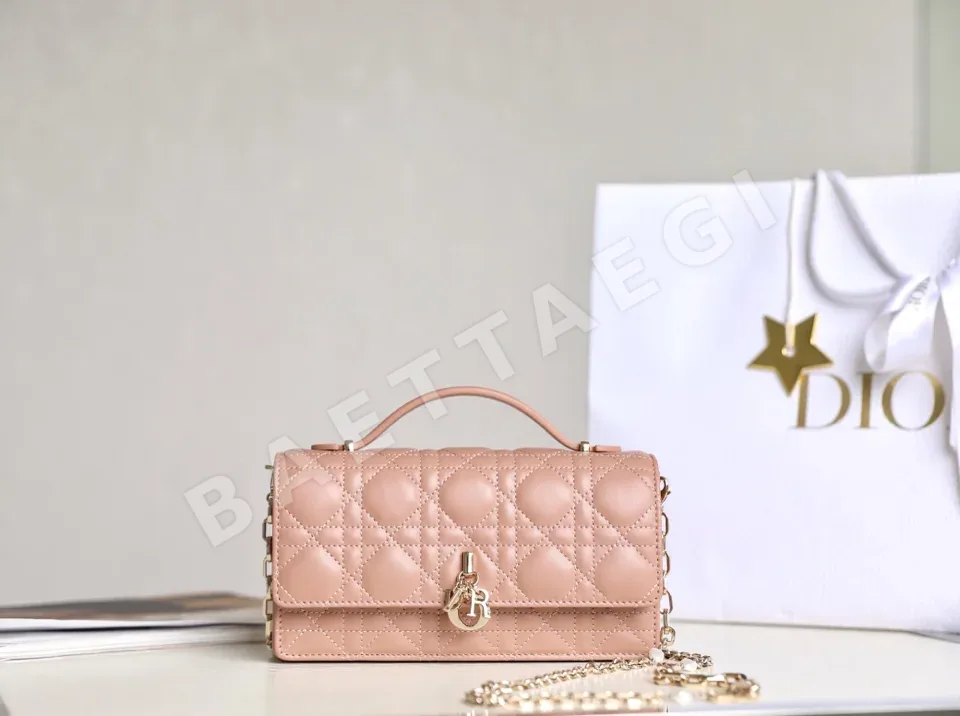 디올 165344 가방 Dior Bag