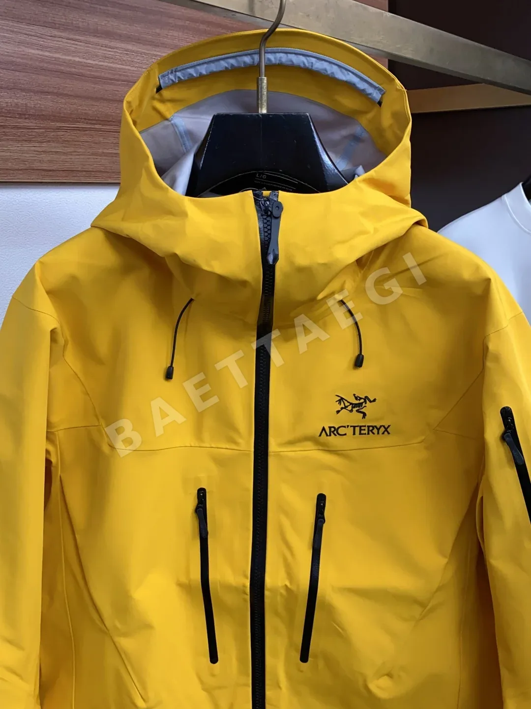 아크테릭스 알파 SV GORE-TEX 프로 남성 자켓 상세 이미지 2