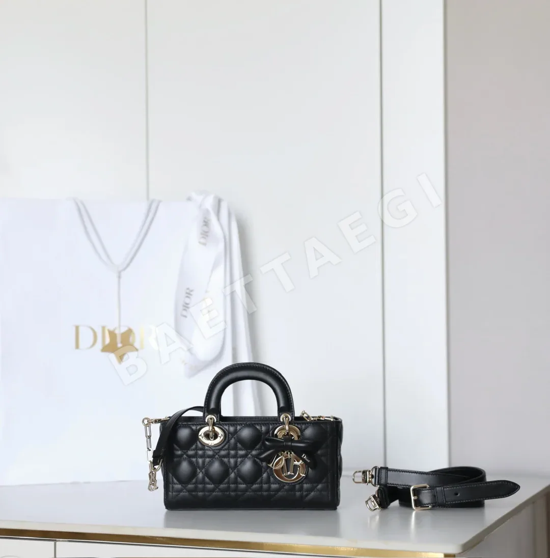디올 165253 가방 Dior Bag
