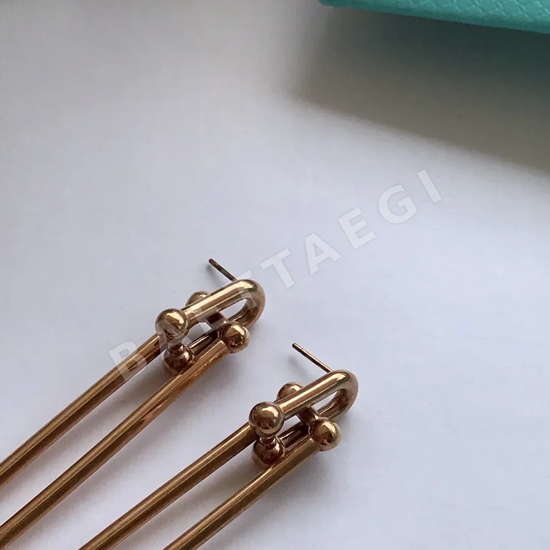 티파니 더블 체인 후프 귀걸이 상세 이미지 3