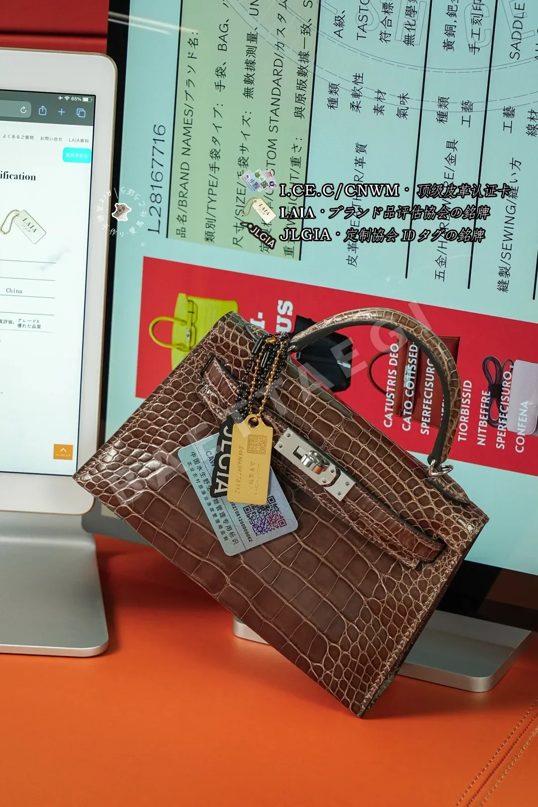 에르메스 켈리 미니 카프스킨 글로스 알리게이터 가방 상세 이미지 9