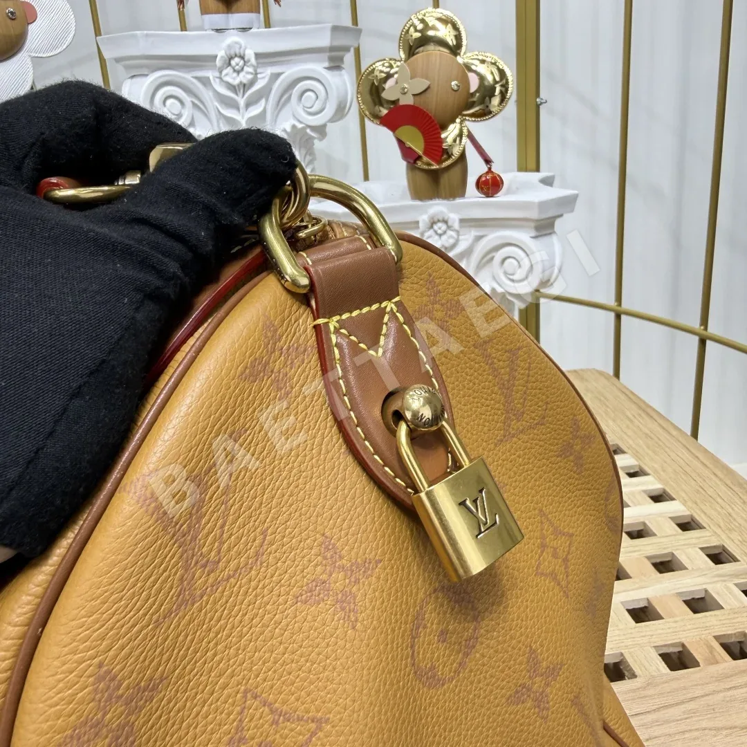 루이비통 버드케이지 모노그램 레더 핸드백 M24419 상세 이미지 8