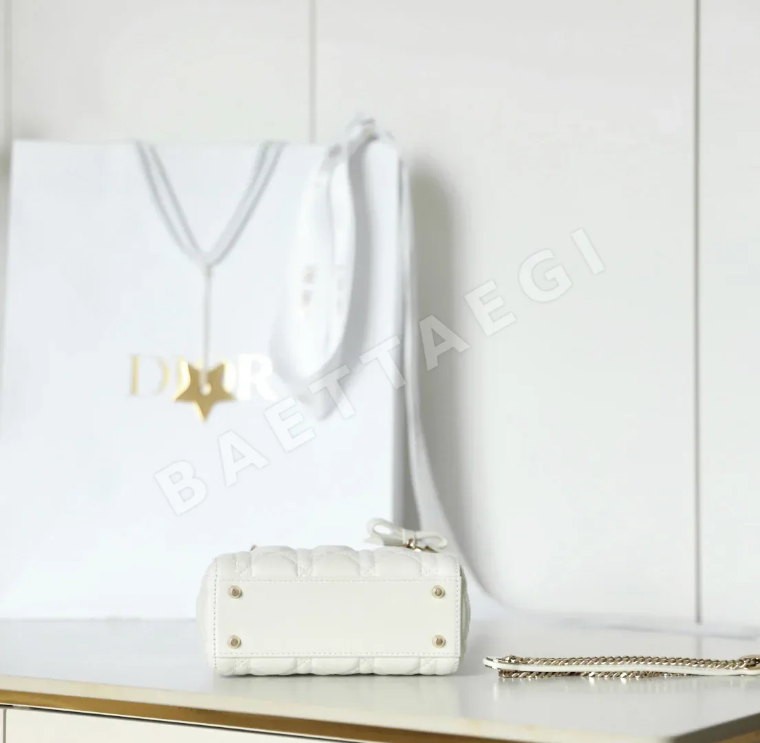 디올 165256 가방 Dior Bag 상세 이미지 7