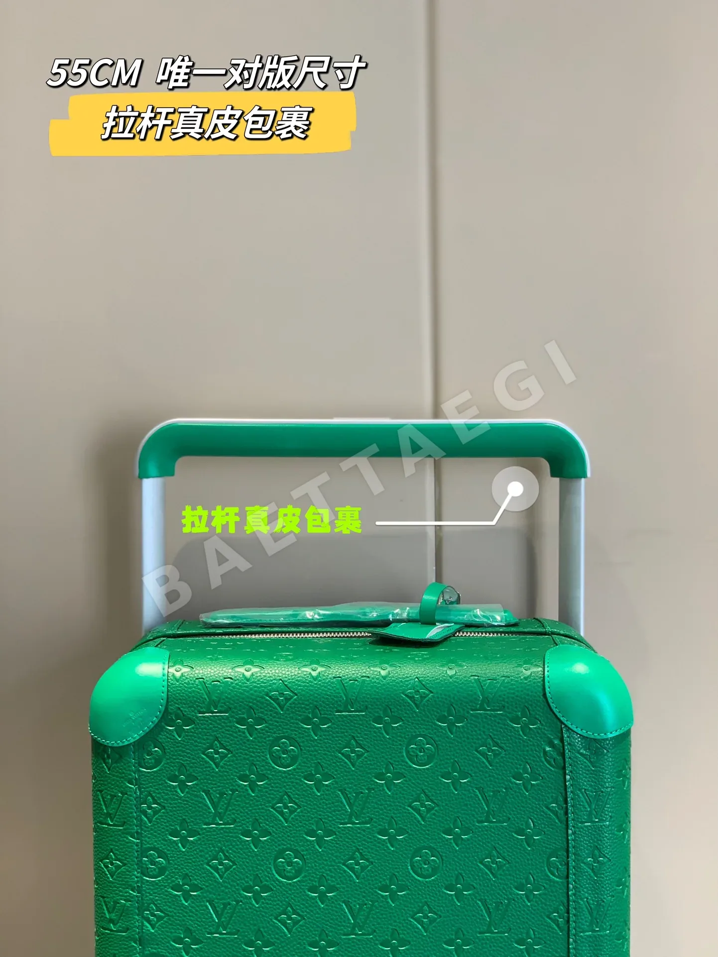 루이비통 호라이즌 4 륜 여행가방 상세 이미지 2