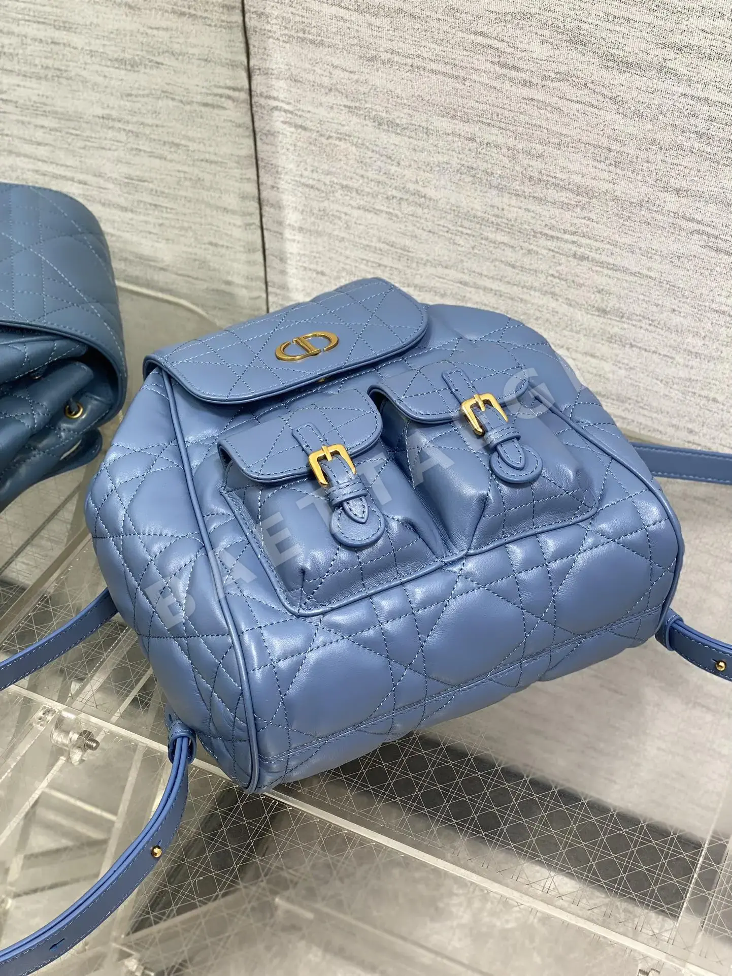 디올 카로 램스킨 백팩 상세 이미지 6