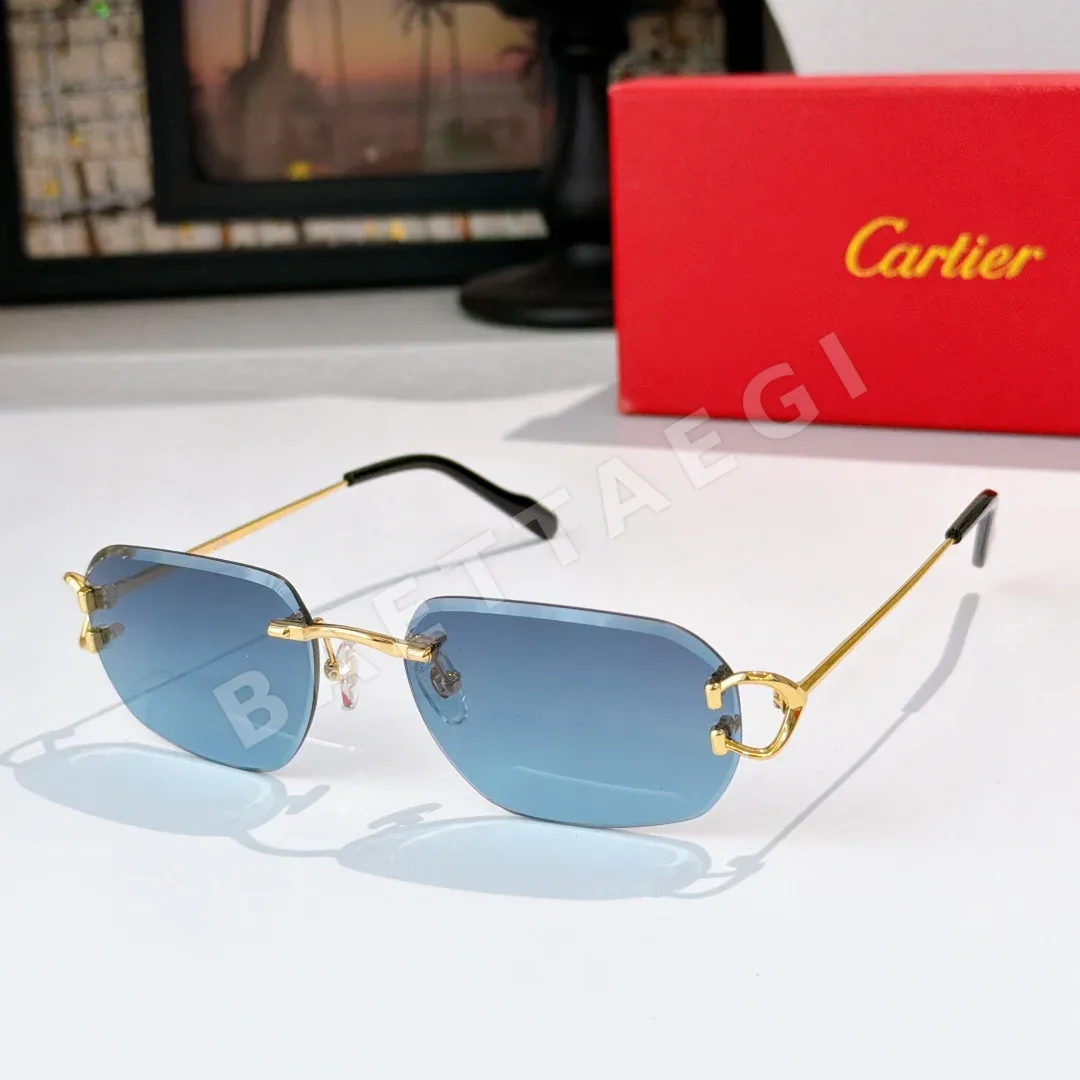 까르띠에 선글라스 72160 Cartier Sunglasses 상세 이미지 5