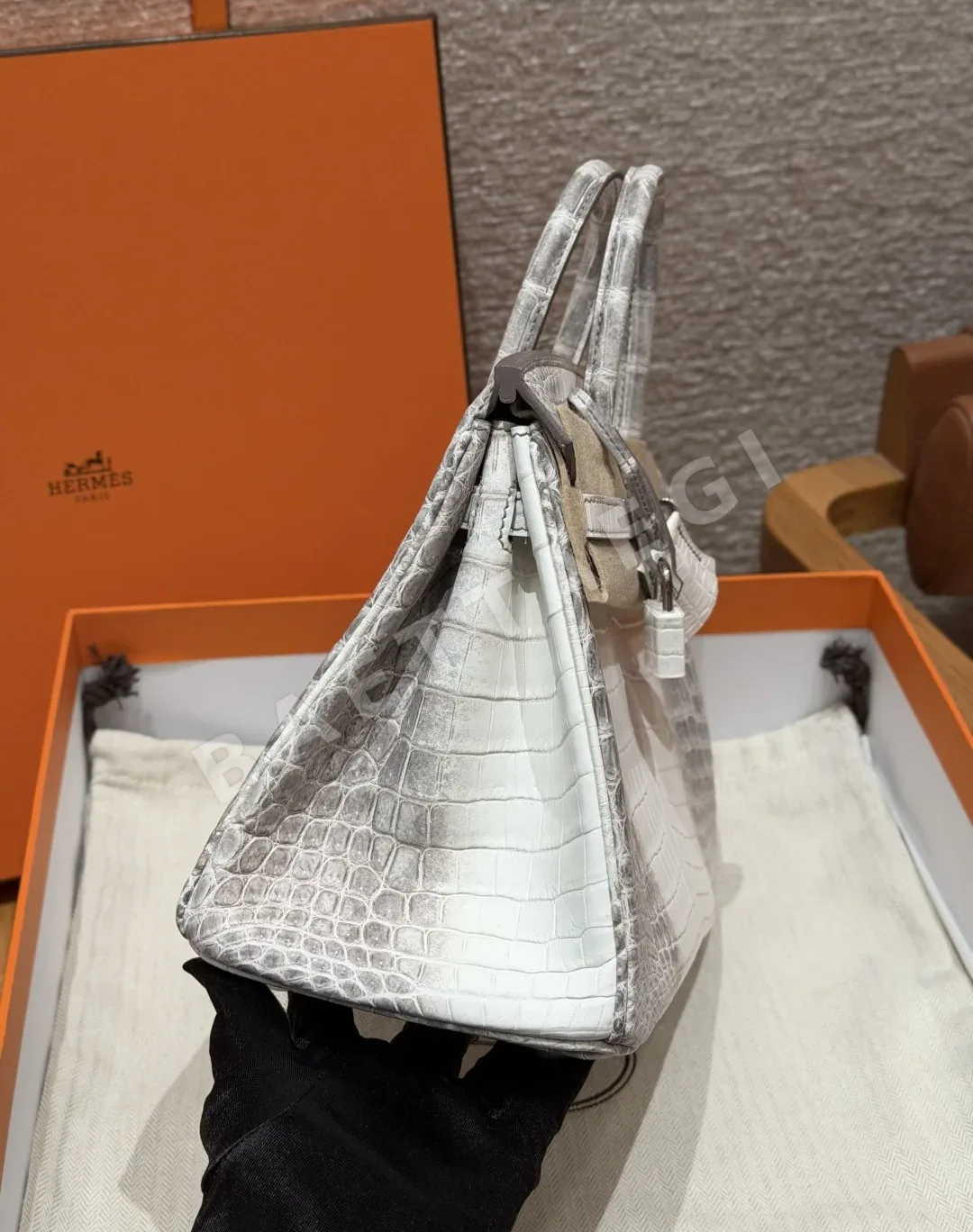 에르메스 버킨 25 히말라야 나일 악어 가방 상세 이미지 3