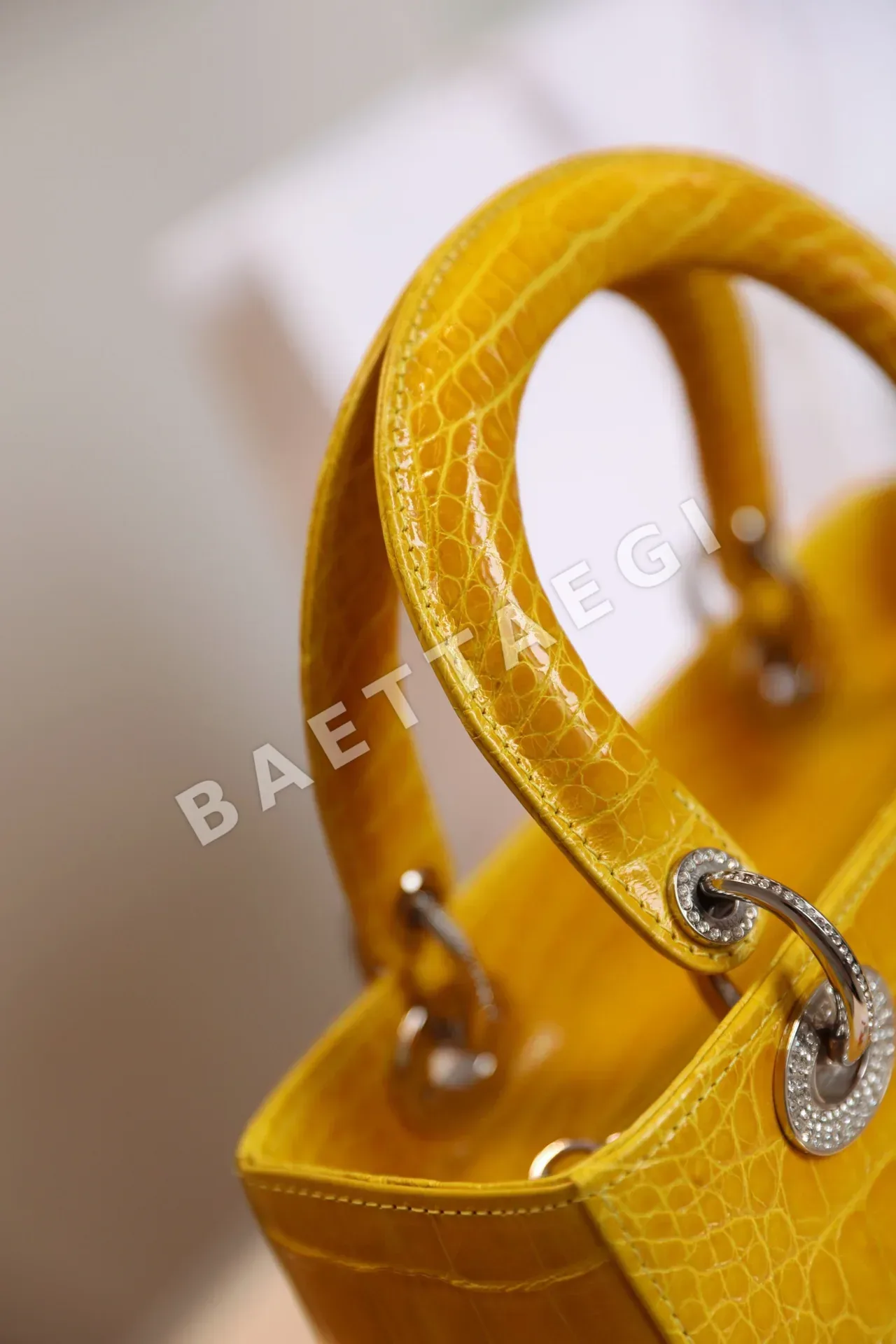 디올 165411 가방 Dior Bag 상세 이미지 5