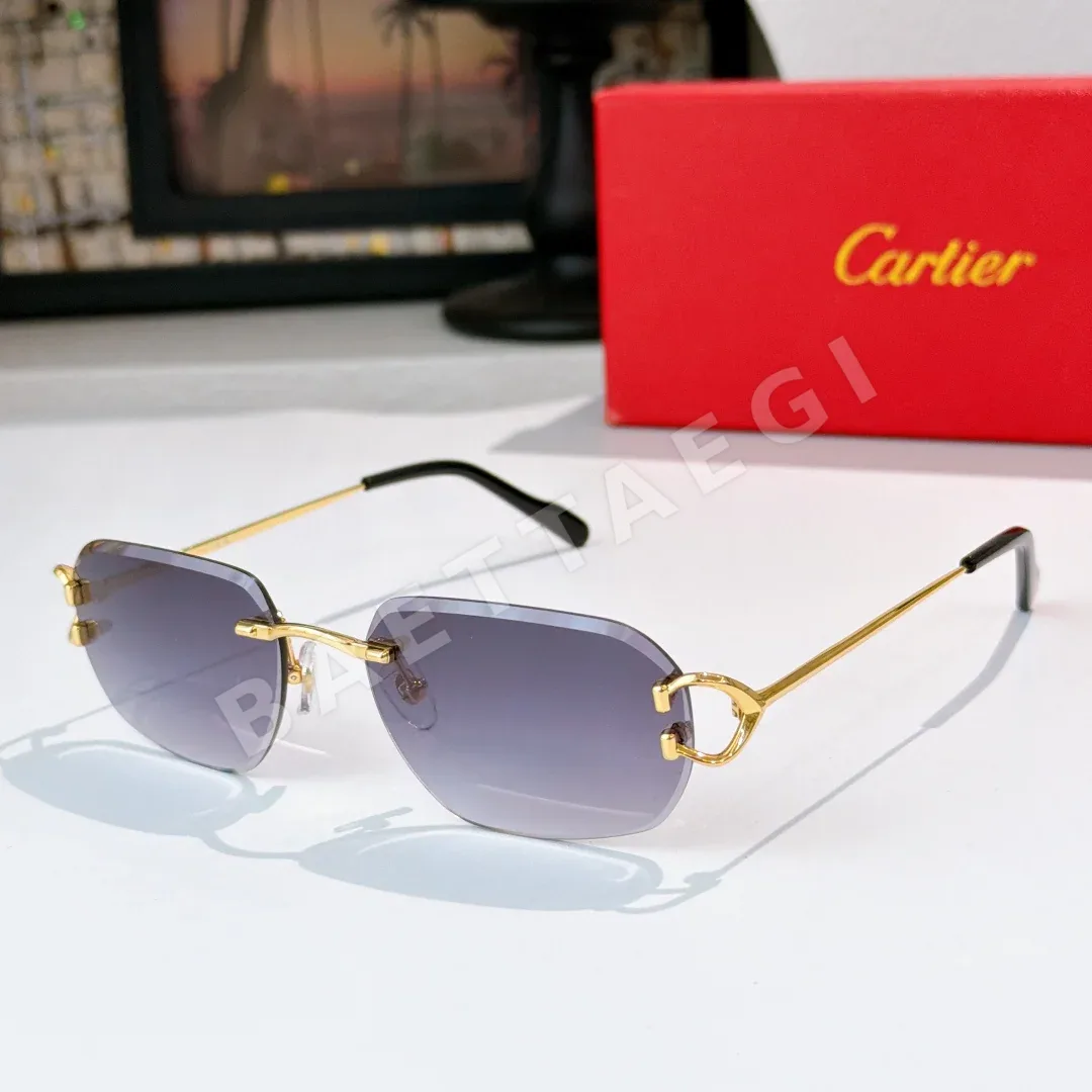 까르띠에 선글라스 72160 Cartier Sunglasses 상세 이미지 4