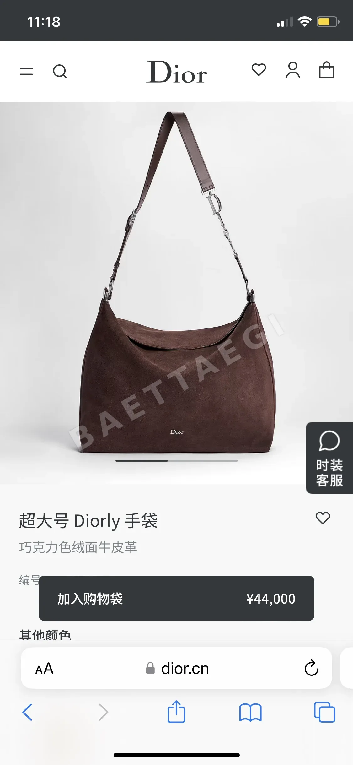 디올 리 호보 스웨이드 가방 상세 이미지 4