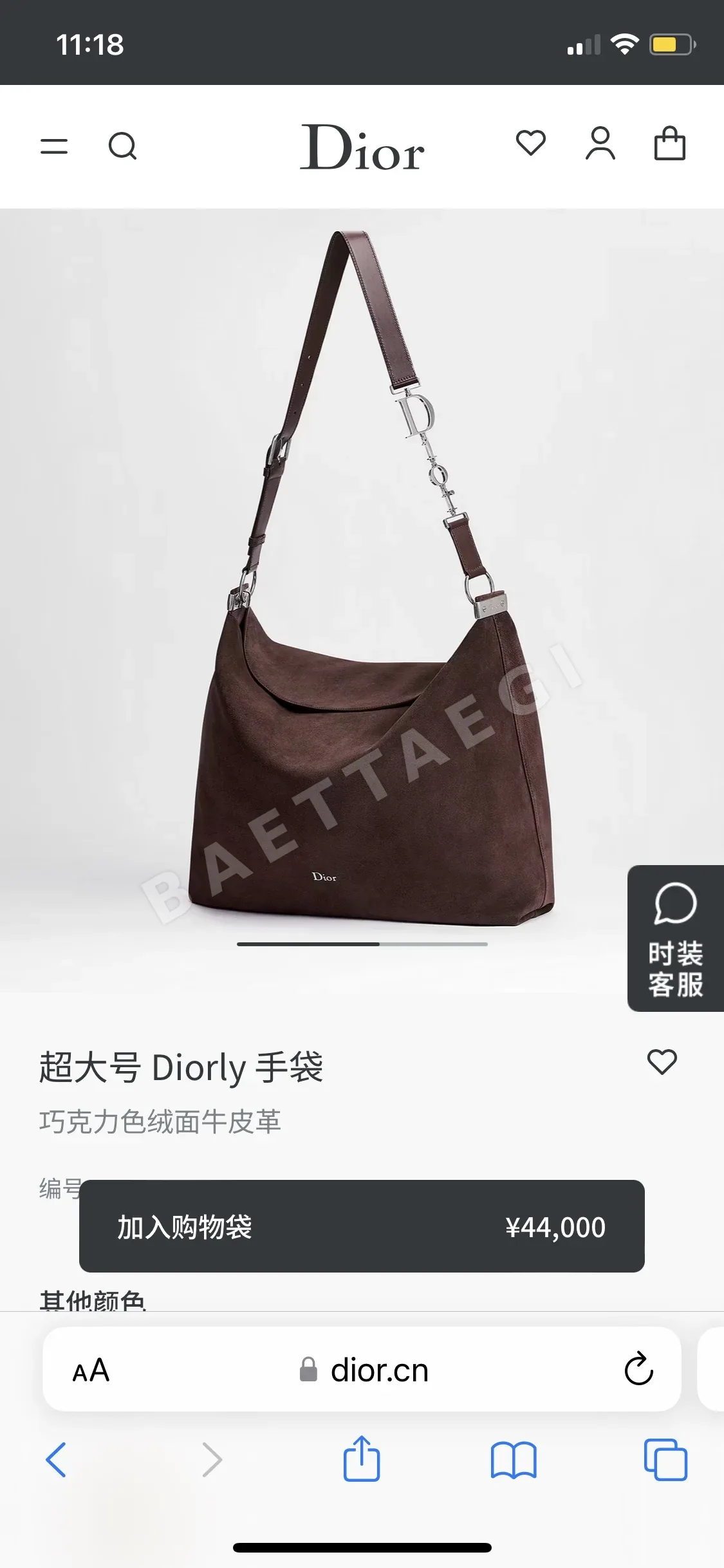 디올 리 호보 스웨이드 가방 상세 이미지 5
