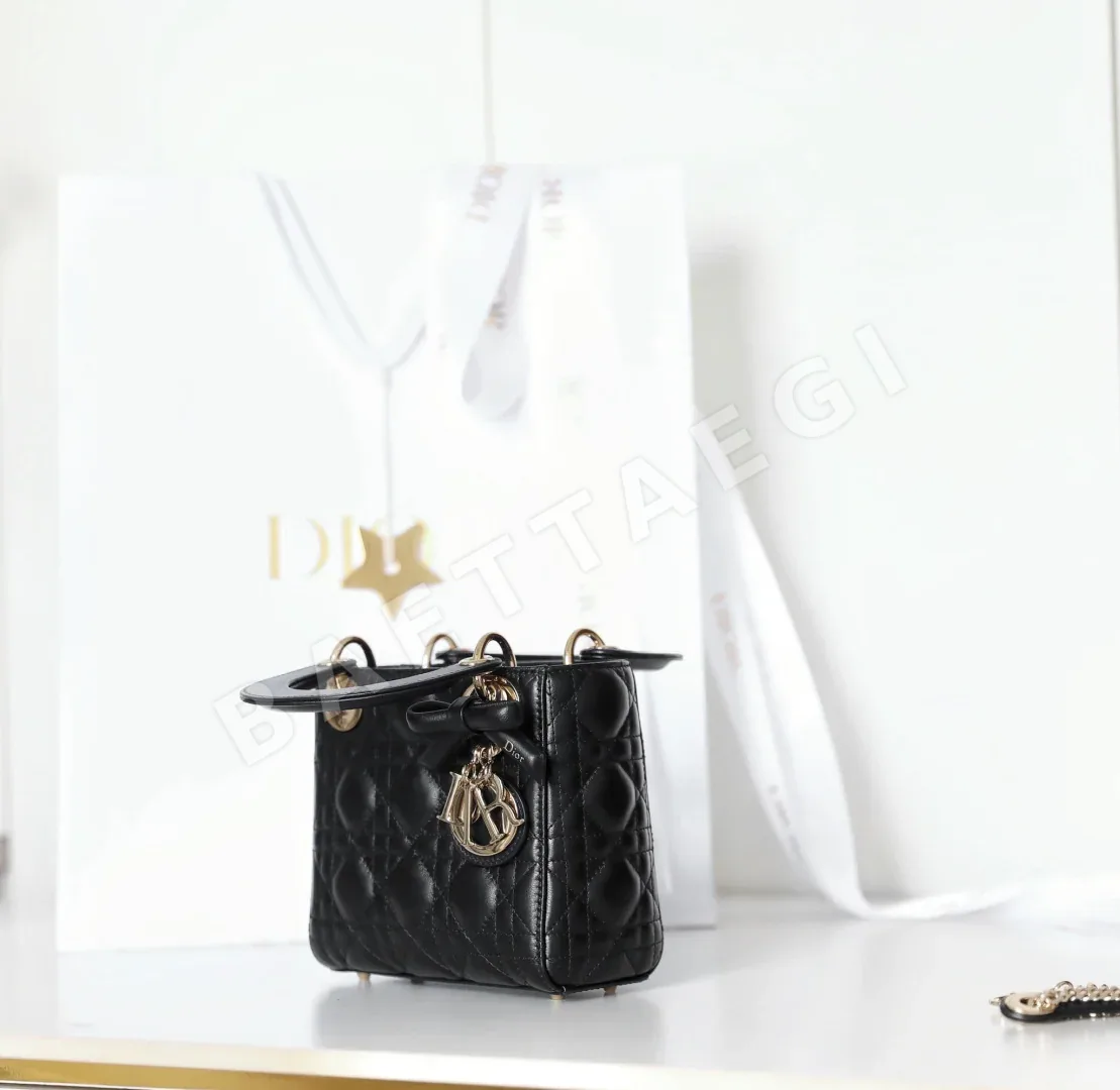 디올 165257 가방 Dior Bag 상세 이미지 5